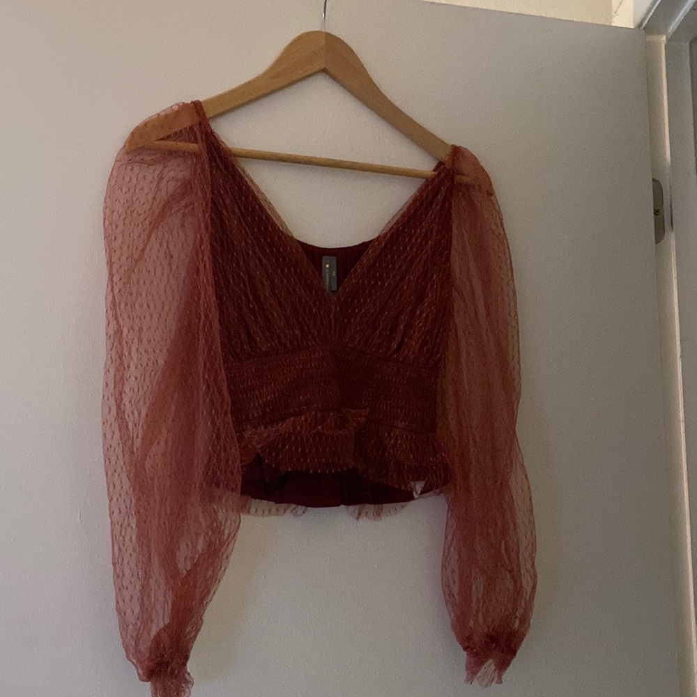 Anthropologie net top with transparent sleeves.